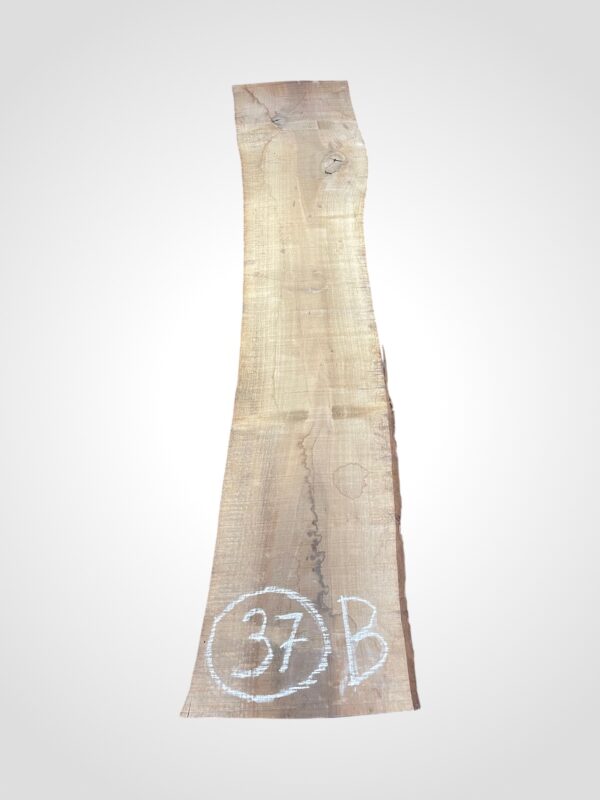 Ořech vlašský 50/52 mm - 37