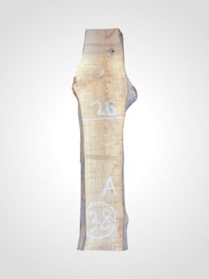 Ořech vlašský 50/52 mm - 38