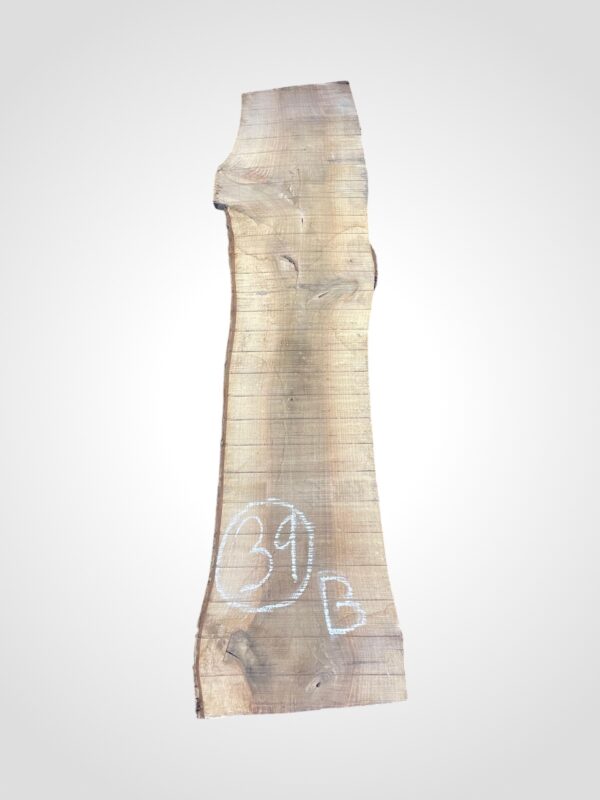 Ořech vlašský 50/52 mm - 39