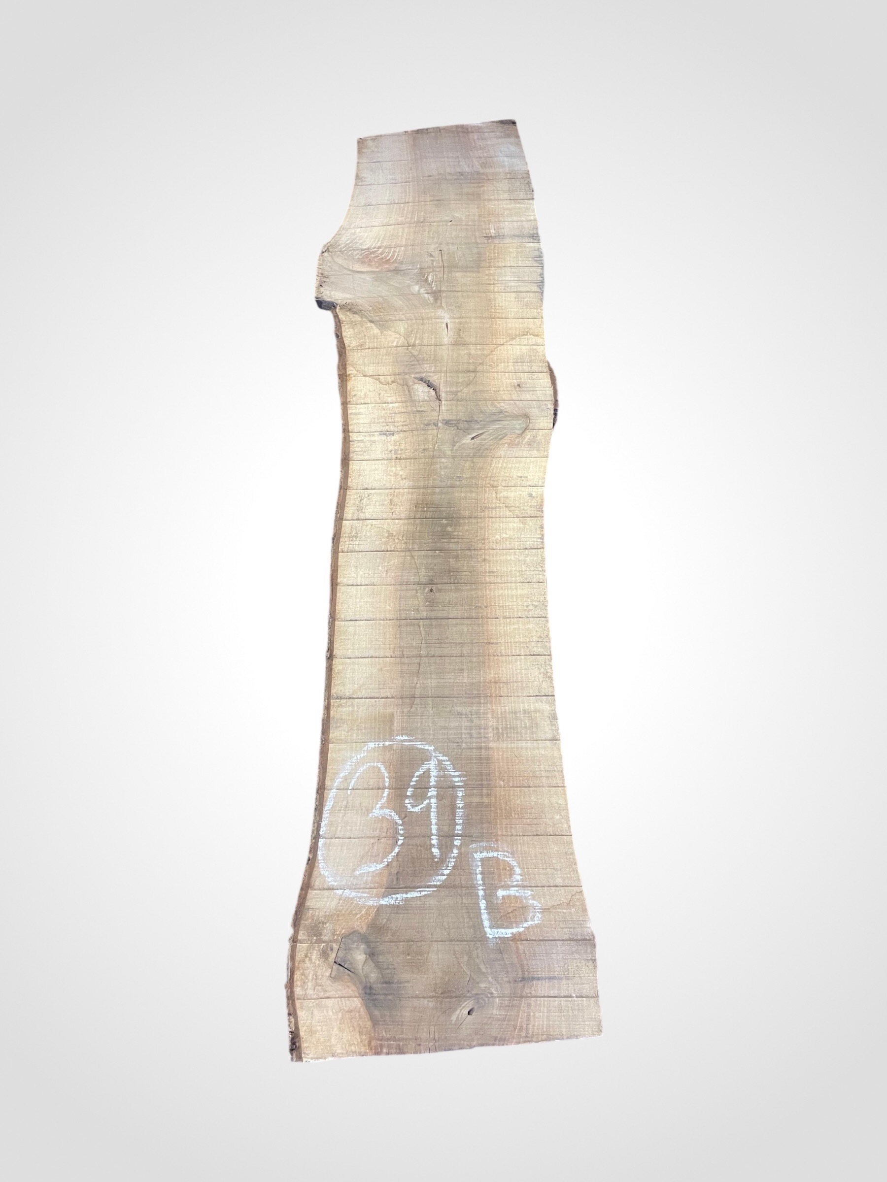 Ořech vlašský 50/52 mm - 39