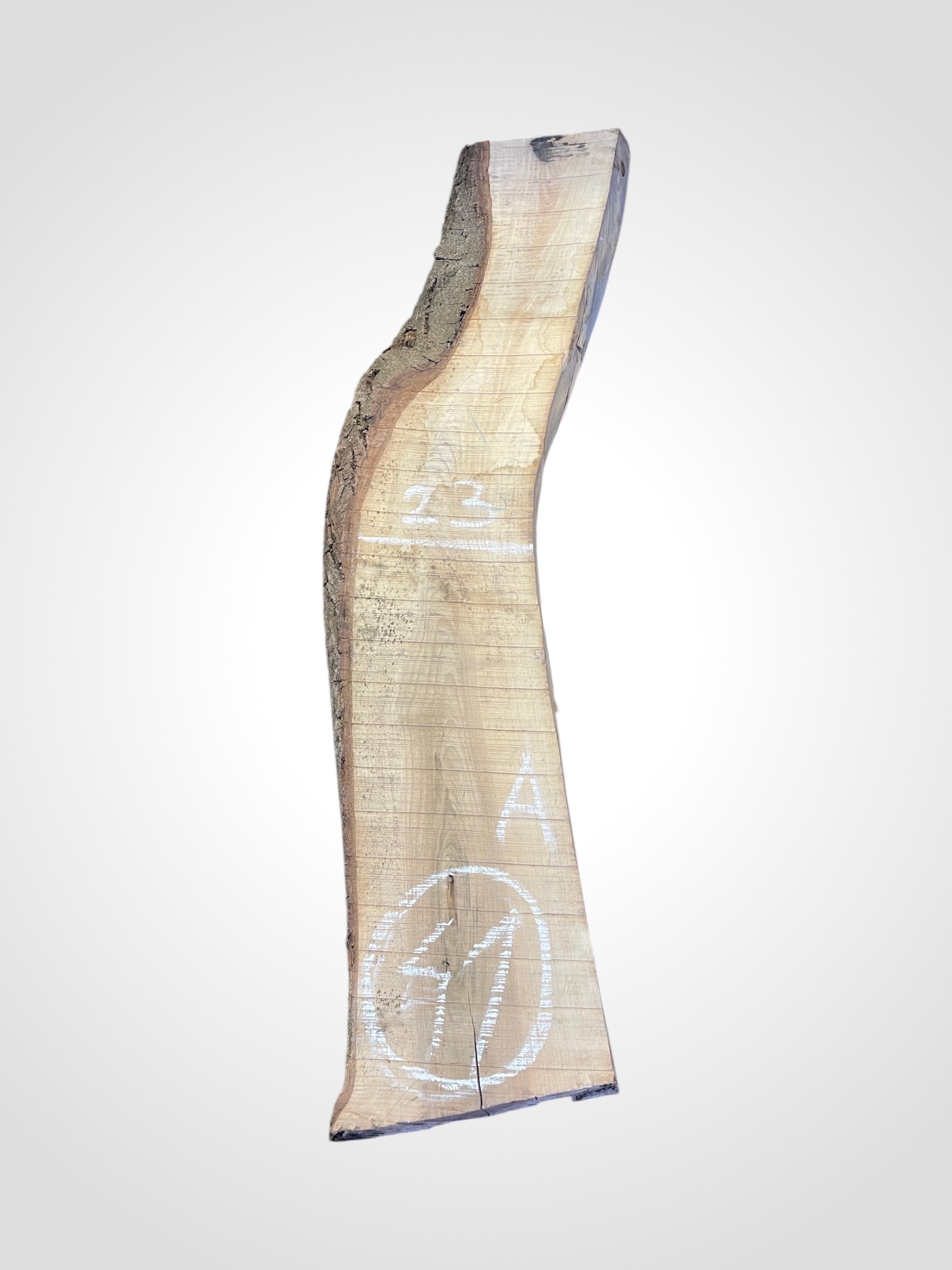 Ořech vlašský 50/52 mm - 41