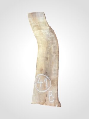 Ořech vlašský 50/52 mm - 41