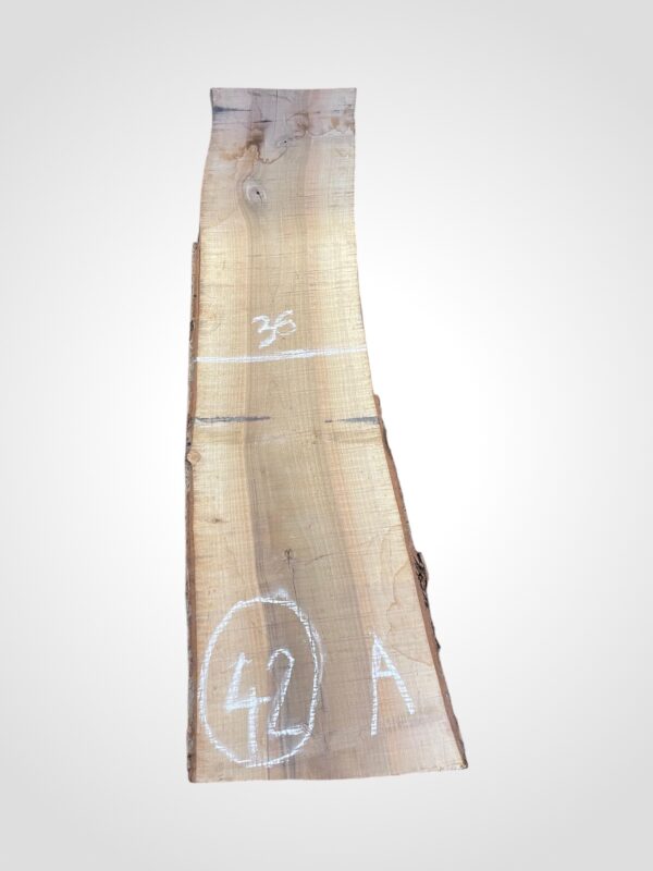 Ořech vlašský 50/52 mm - 42