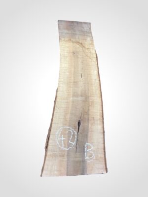 Ořech vlašský 50/52 mm - 42