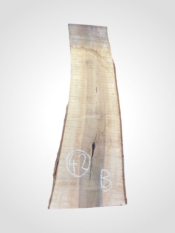 Ořech vlašský 50/52 mm - 42