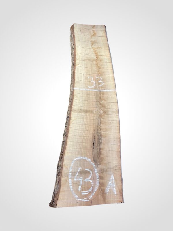 Ořech vlašský 50/52 mm - 43