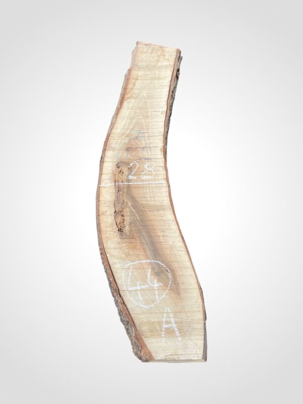 Ořech vlašský 50/52 mm - 44