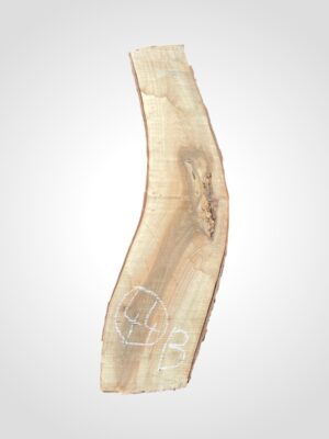 Ořech vlašský 50/52 mm - 44