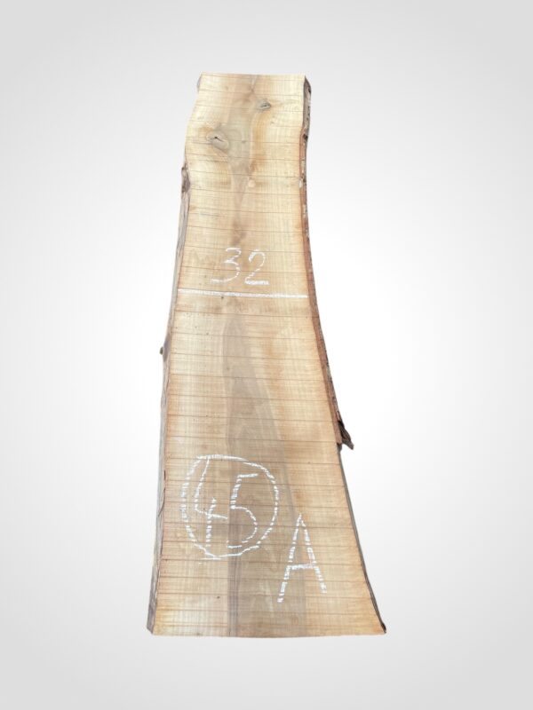 Ořech vlašský 50/52 mm - 45