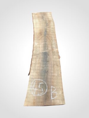 Ořech vlašský 50/52 mm - 45