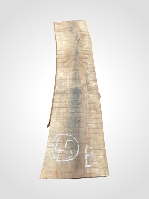 Ořech vlašský 50/52 mm - 45