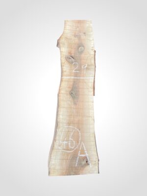 Ořech vlašský 50/52 mm - 46