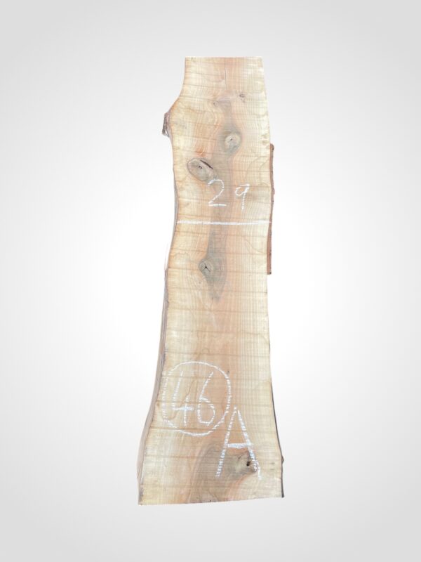 Ořech vlašský 50/52 mm - 46