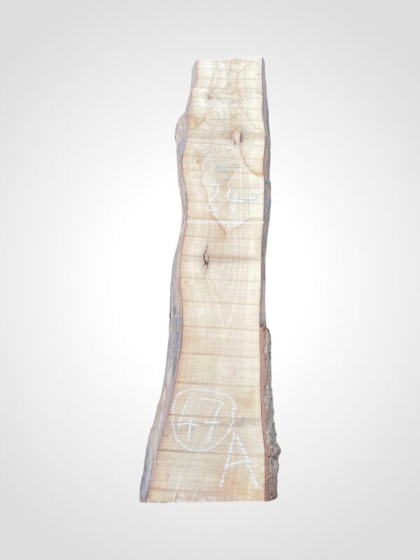 Ořech vlašský 50/52 mm - 47