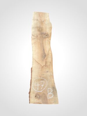 Ořech vlašský 50/52 mm - 47