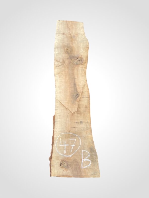 Ořech vlašský 50/52 mm - 47