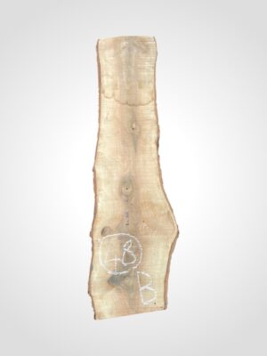 Ořech vlašský 50/52 mm - 48