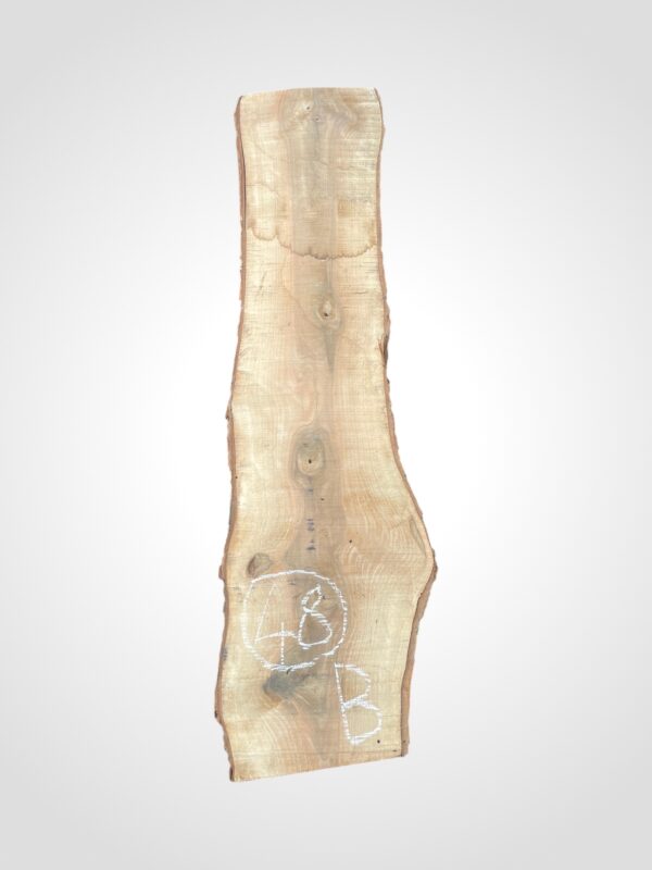 Ořech vlašský 50/52 mm - 48