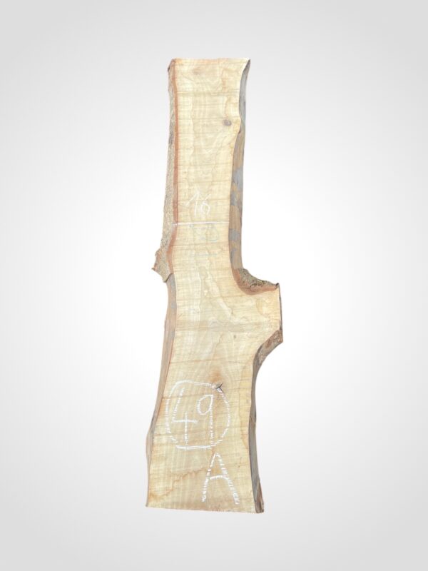 Ořech vlašský 50/52 mm - 49