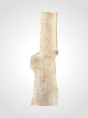 Ořech vlašský 50/52 mm - 49