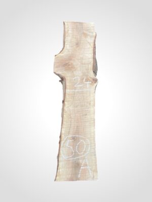 Ořech vlašský 50/52 mm - 50