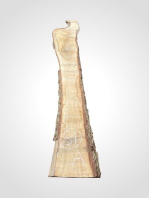 Ořech vlašský 50/52 mm - 51