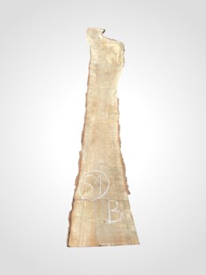 Ořech vlašský 50/52 mm - 51