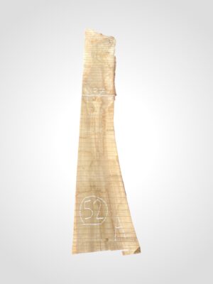 Ořech vlašský 50/52 mm - 52