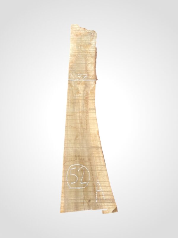 Ořech vlašský 50/52 mm - 52