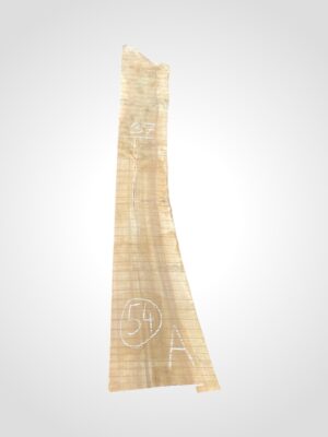 Ořech vlašský 50/52 mm - 54