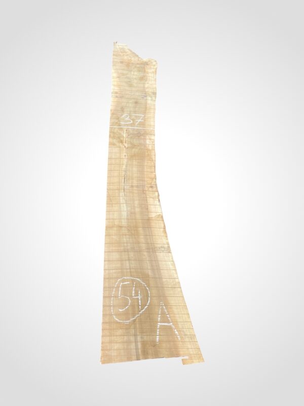 Ořech vlašský 50/52 mm - 54