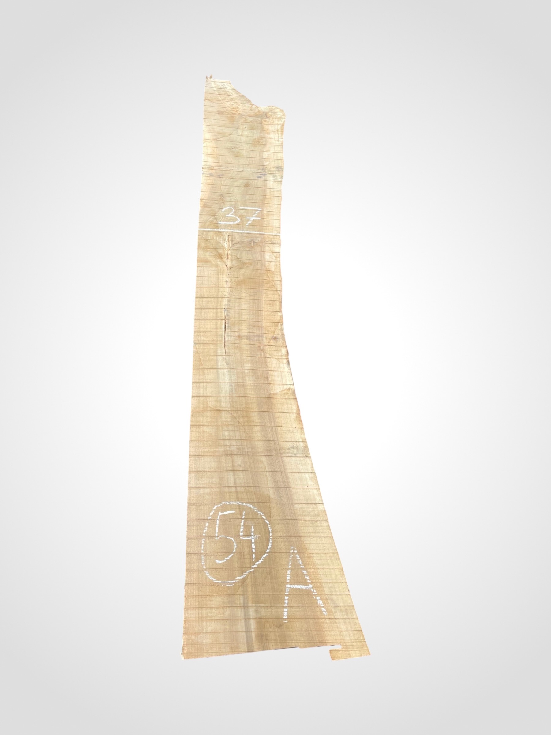 Orech-vlassky-52-54a Ořech vlašský 50/52 mm - 54