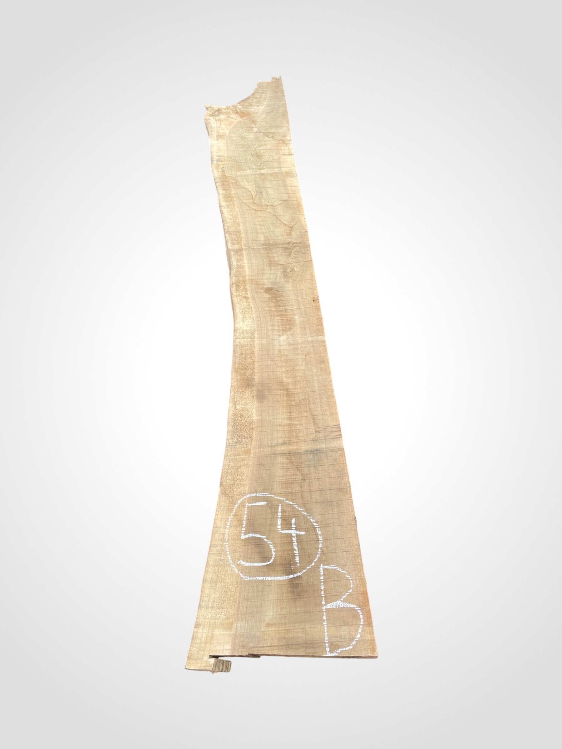 Orech-vlassky-52-54b Ořech vlašský 50/52 mm - 54