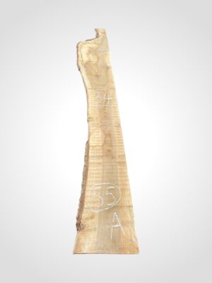 Ořech vlašský 50/52 mm - 55