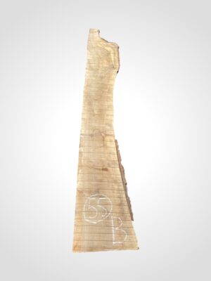 Ořech vlašský 50/52 mm - 55