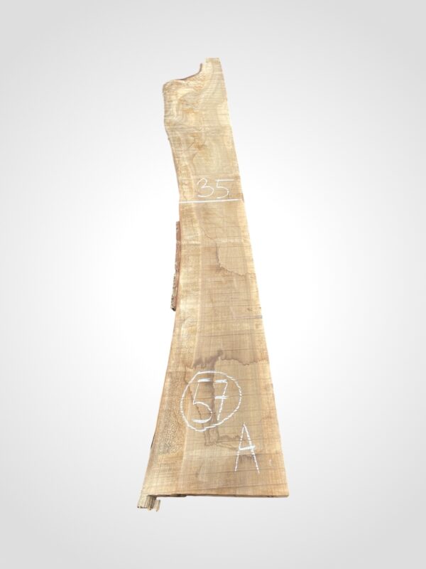 Ořech vlašský 50/52 mm - 57