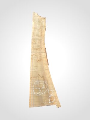 Ořech vlašský 50/52 mm - 57