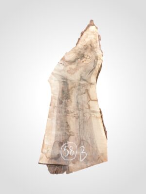 Ořech vlašský 50/52 mm - 58