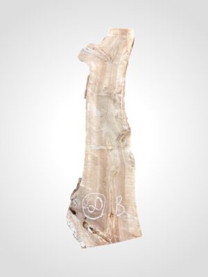 Ořech vlašský 50/52 mm - 60