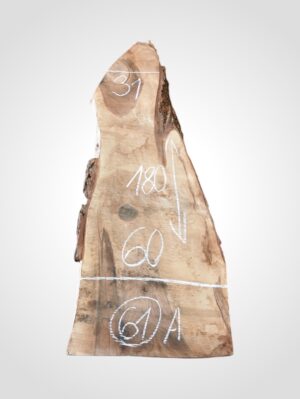 Ořech vlašský 50/52 mm - 61