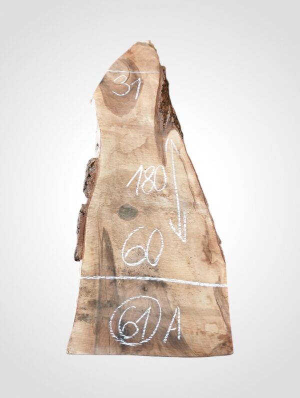 Ořech vlašský 50/52 mm - 61