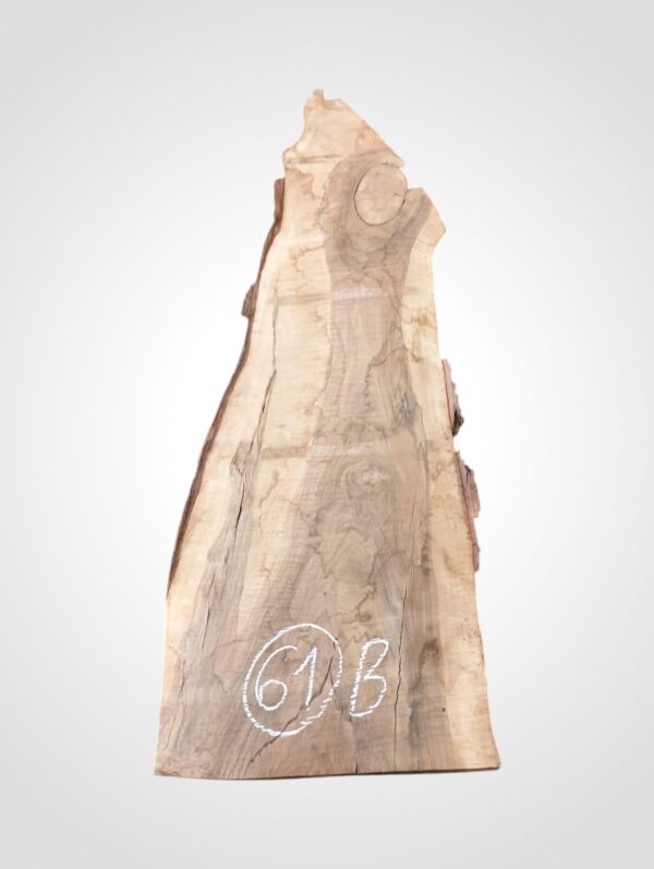 Ořech vlašský 50/52 mm - 61