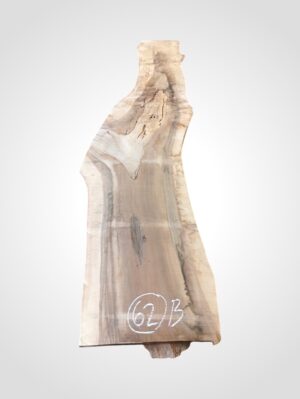 Ořech vlašský 50/52 mm - 62