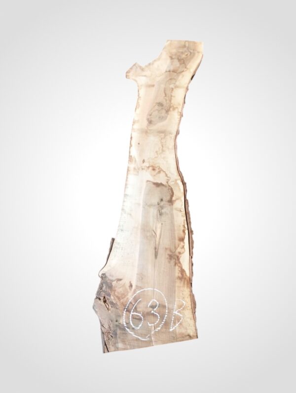 Ořech vlašský 50/52 mm - 63