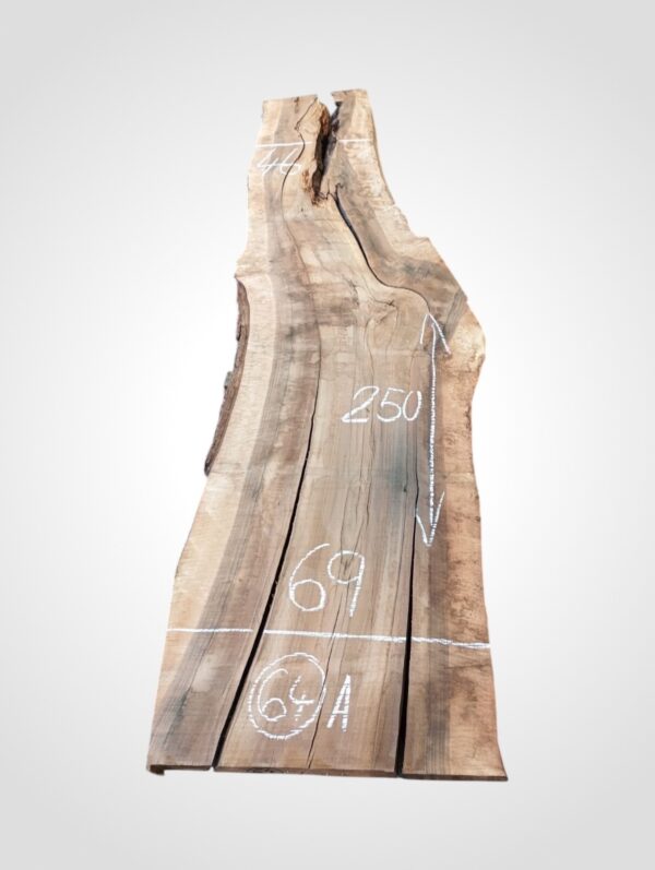 Ořech vlašský 50/52 mm - 64