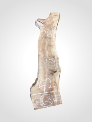 Ořech vlašský 50/52 mm - 65