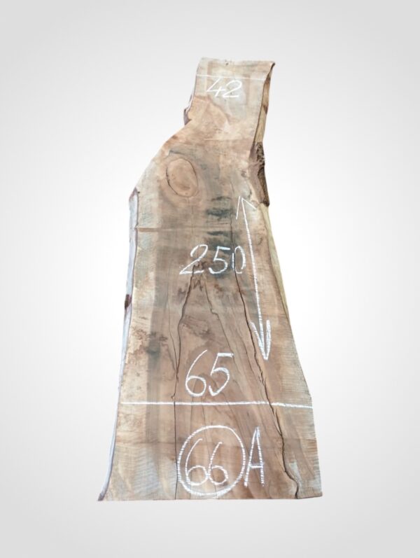 Ořech vlašský 50/52 mm - 66