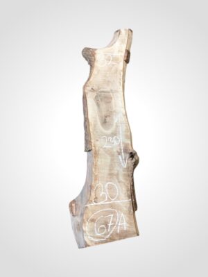 Ořech vlašský 50/52 mm - 67