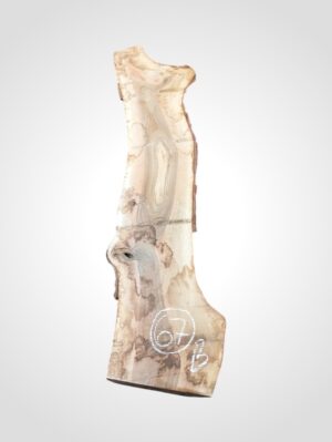 Ořech vlašský 50/52 mm - 67