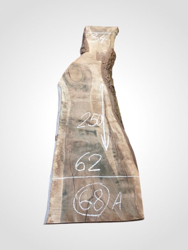 Ořech vlašský 50/52 mm - 68